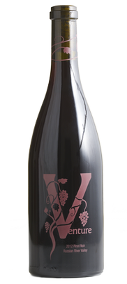 2013 Pinot Noir Image